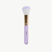 Oh Flossy |  5-Piece Rainbow Makeup Brush Set