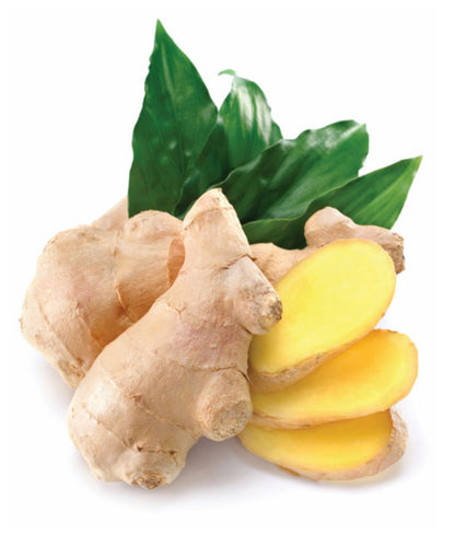 Ginger 15mL