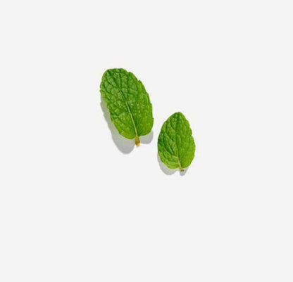 Love Tea Peppermint loose leaf