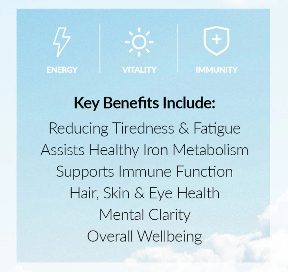 Primal Energy - Grass Fed Beef Liver - Capsules & Powder