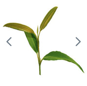 Lemon Myrtle 5ml