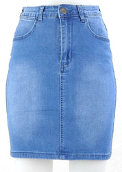 Sumter denim skirt