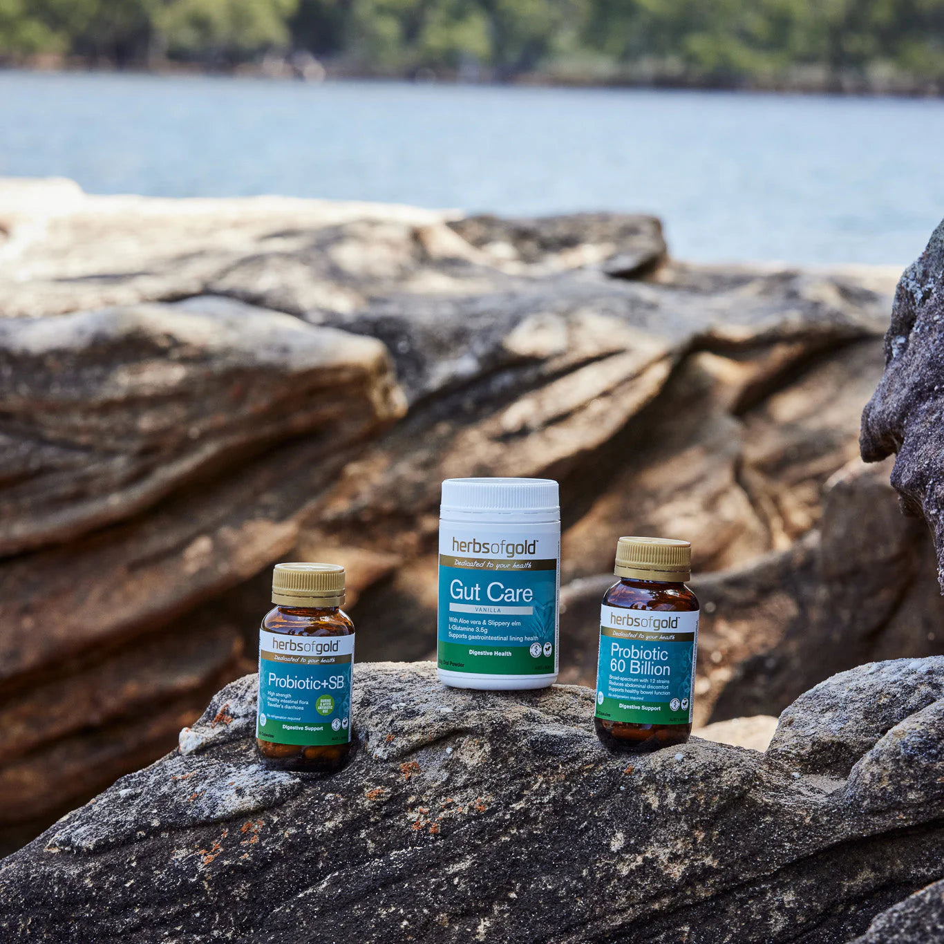 Herbs of gold |Gut care