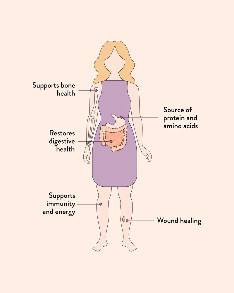 Beef Bone Broth 125g Adaptogenic mushrooms