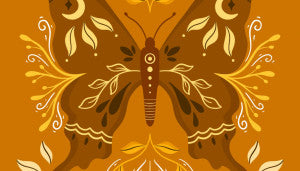 SACRED FEMININE ORACLE
DIVINE HEALING
By: Malory Malmasson and Marion Blanc