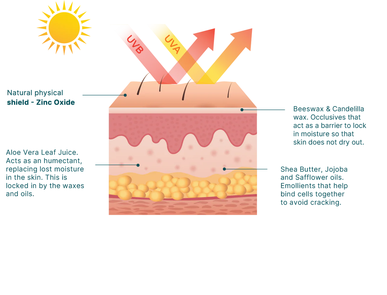 WOTNOT NATURALS AUSTRALIA|

50 SPF ZINC SUNSCREEN