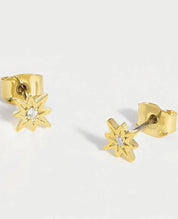 Estella Bartlett North Star CZ Stud Earrings