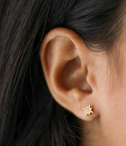 Estella Bartlett North Star CZ Stud Earrings